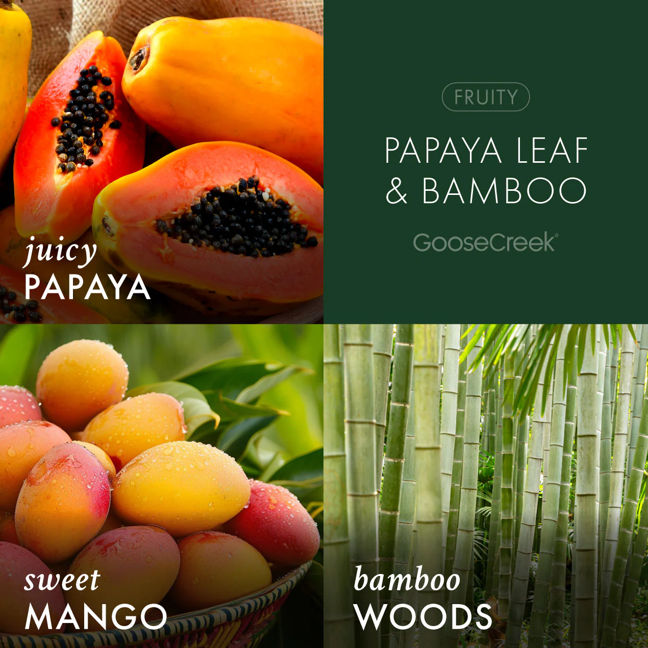 Papaya Leaf & Bamboo 3-Wick Candle