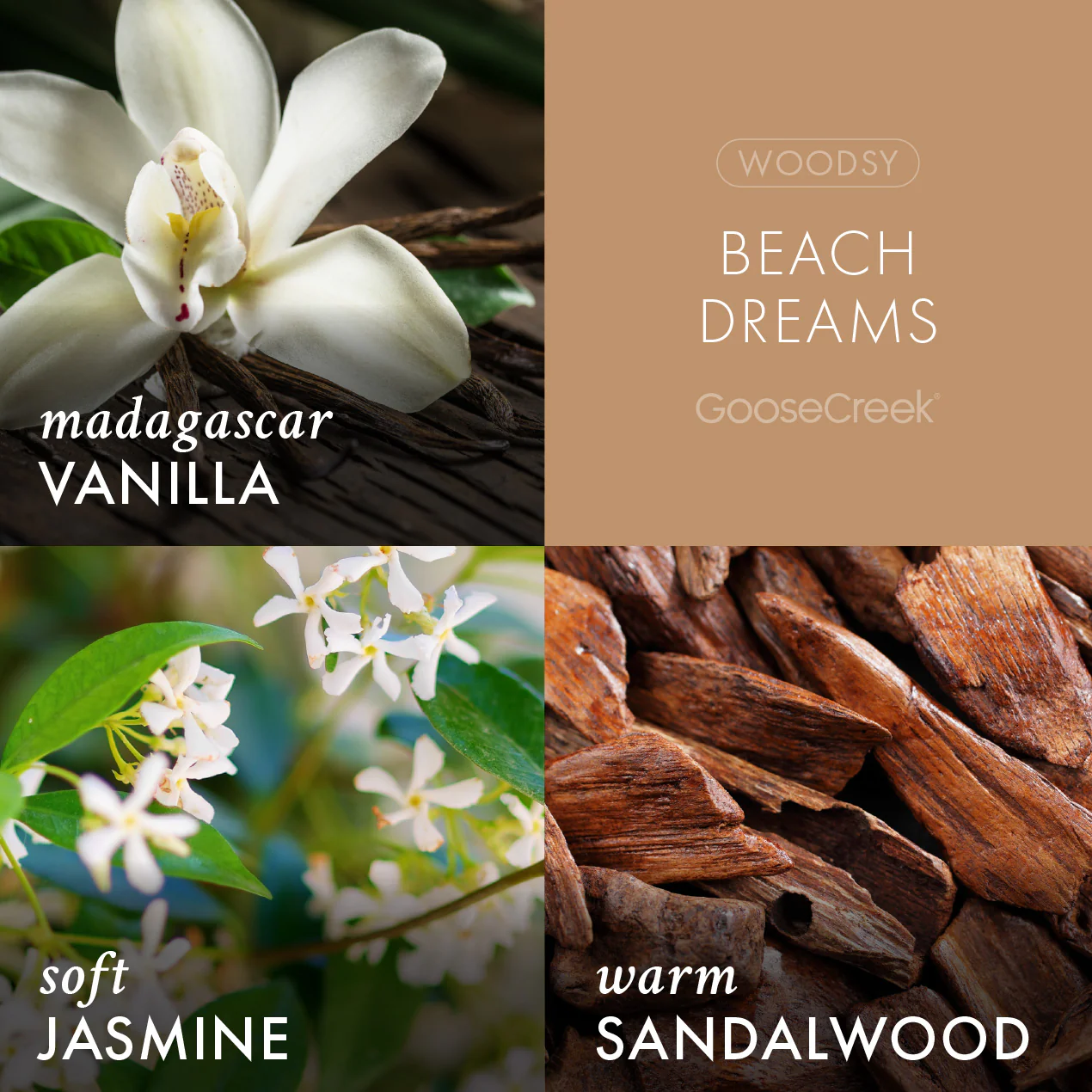 Beach Dreams 3-Wick Candle