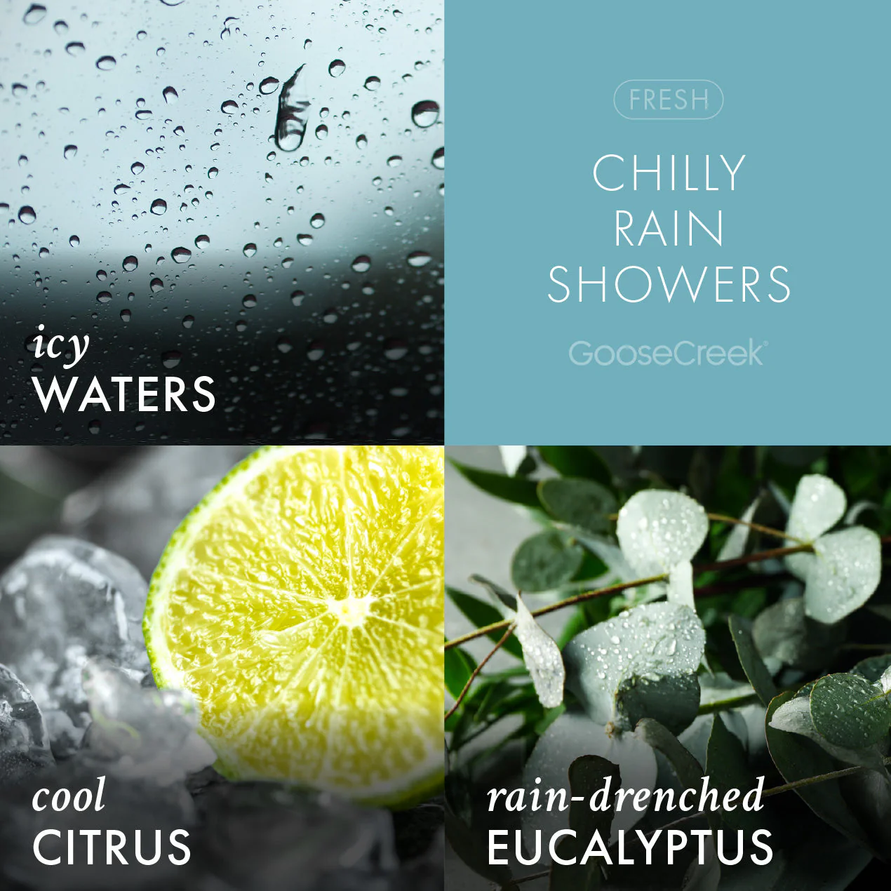 Odor Eliminating Chilly Rain Showers Wax Melt