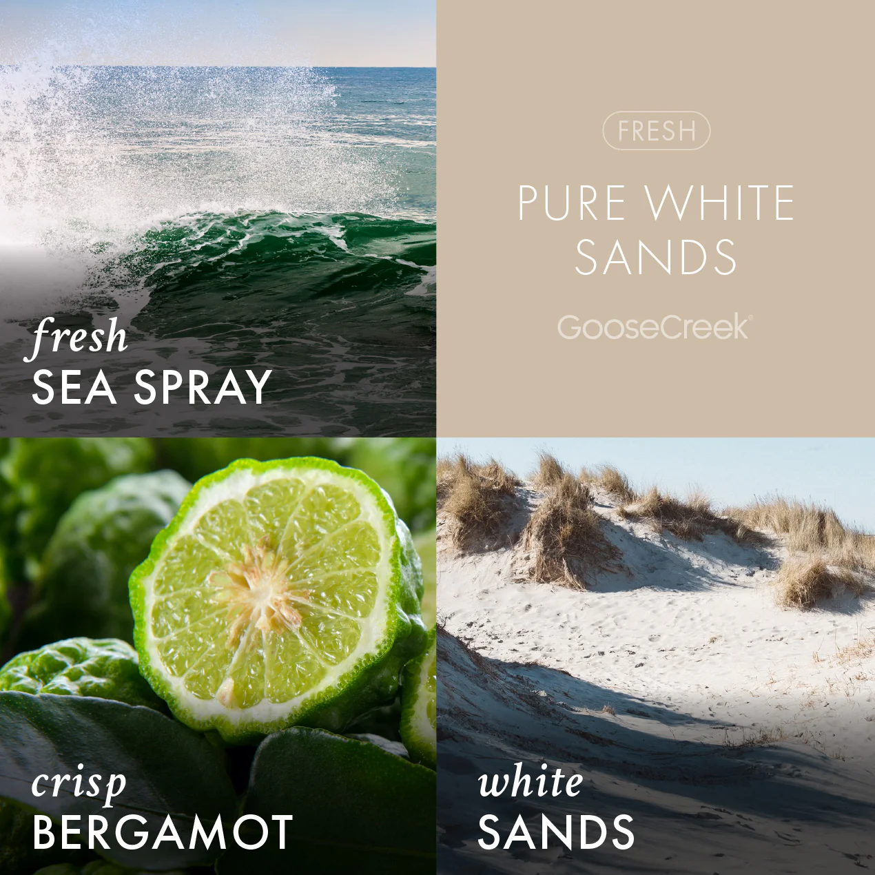 Pure White Sands Lush Foaming Hand Soap