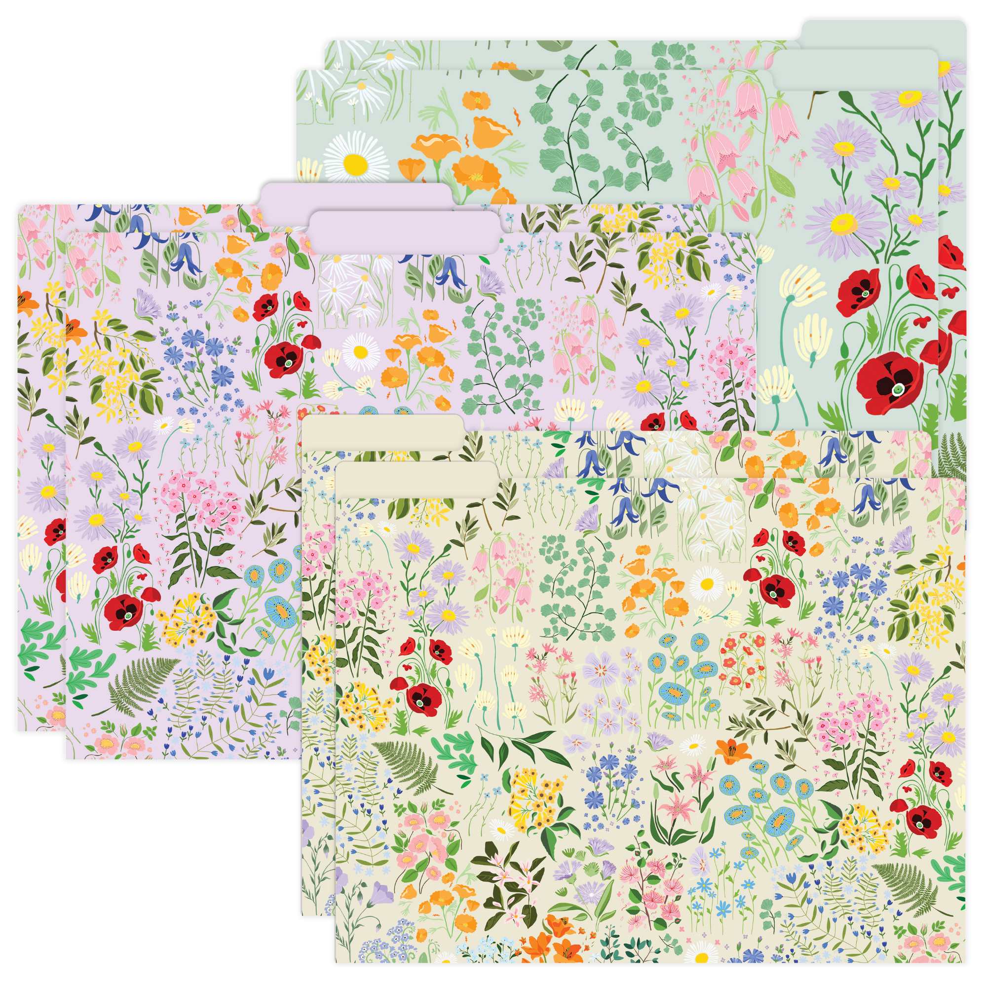 File Folder Set, 6 Pack, Garden Party
