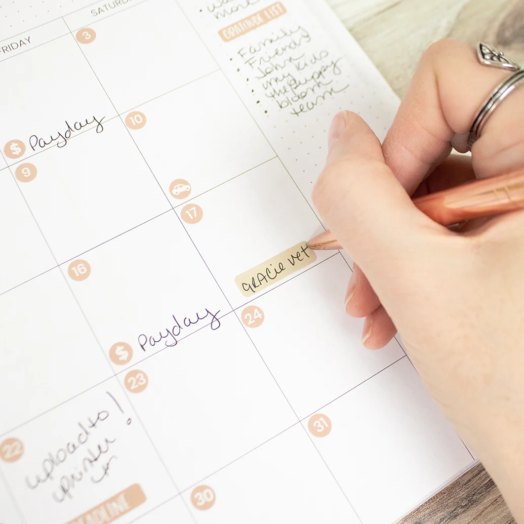 Planner Stickers, Calendar Essentials Pack, Aesthetic Boho