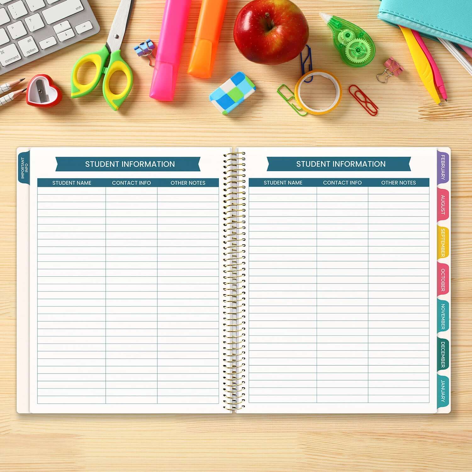 DATED 2025-26 Teacher Planner & Calendar, Interchangeable Cover, Bold & Bright