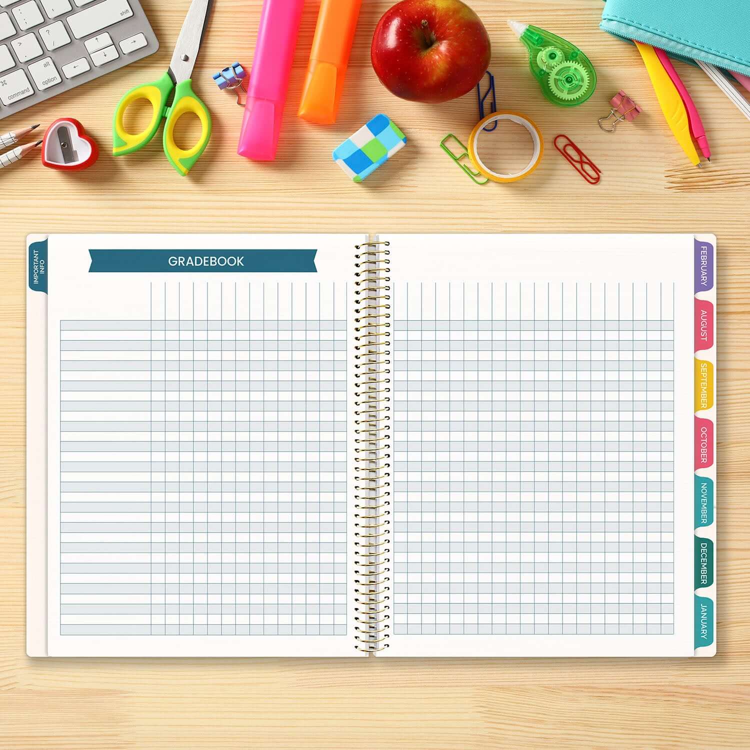 DATED 2025-26 Teacher Planner & Calendar, Interchangeable Cover, Bold & Bright