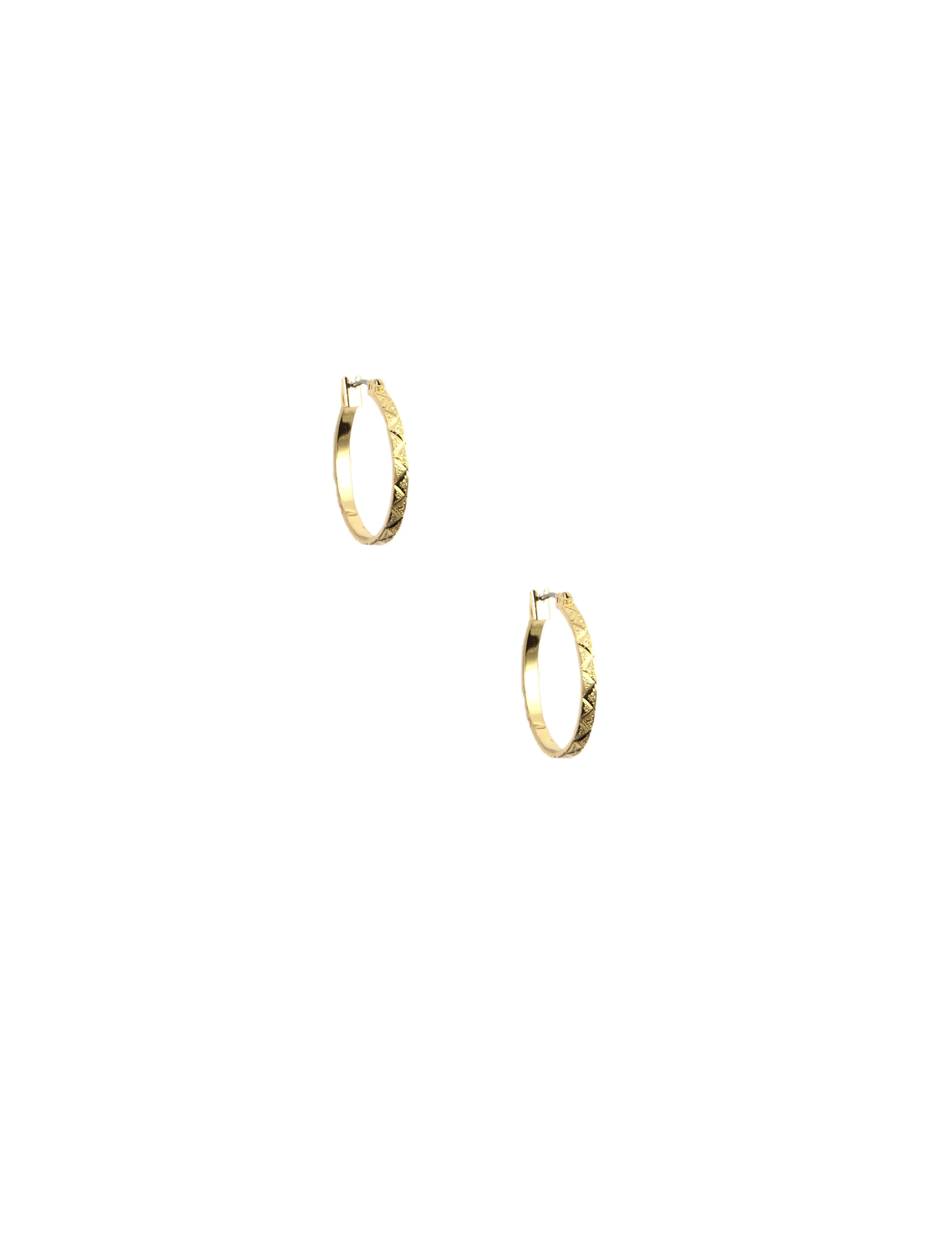 Small Leaf Hoop Earrings