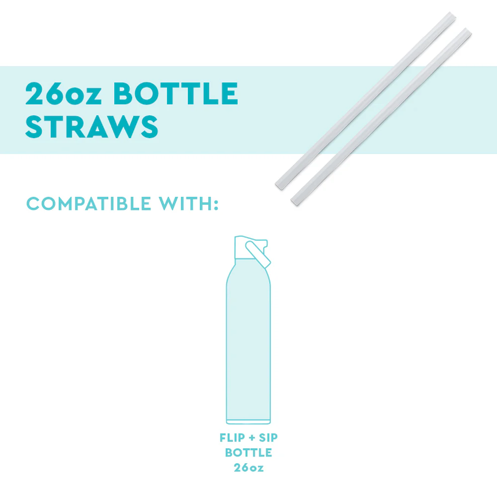 Replacement Straws 2-Pack 26oz Bottle