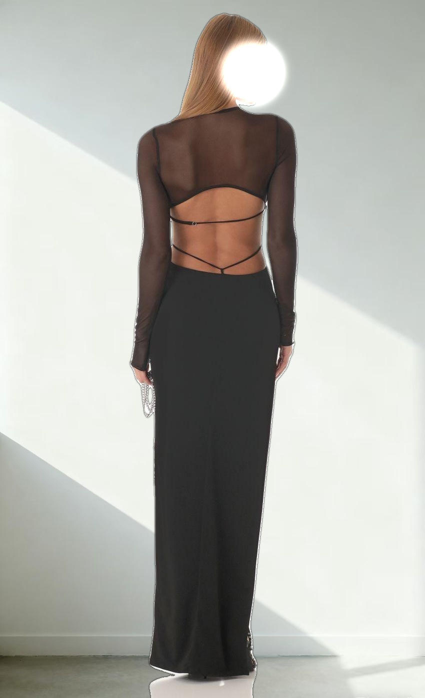 Long Sleeve Sheer Back Dress in Black