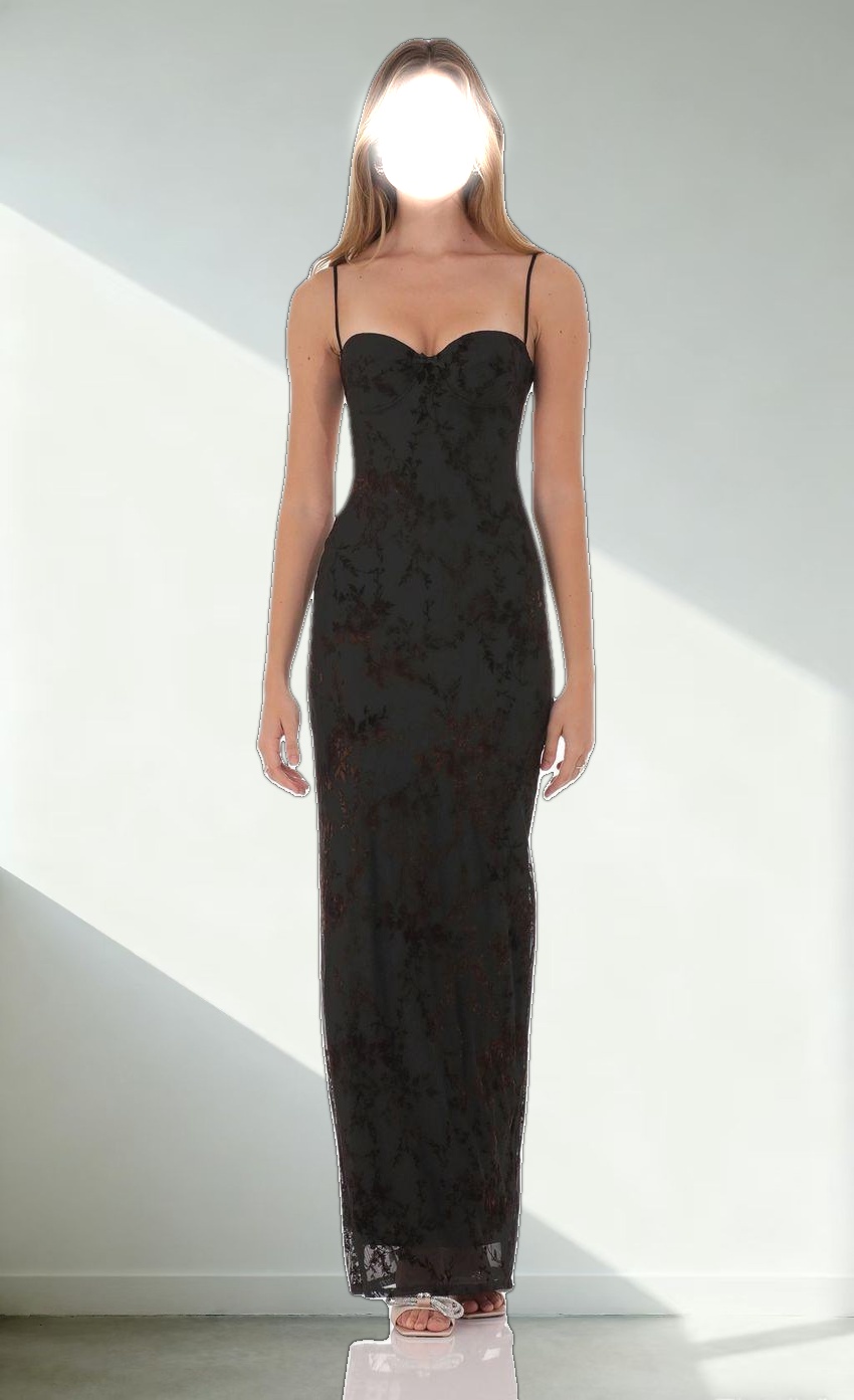 Mesh Brown Velvet Floral Maxi Dress in Black