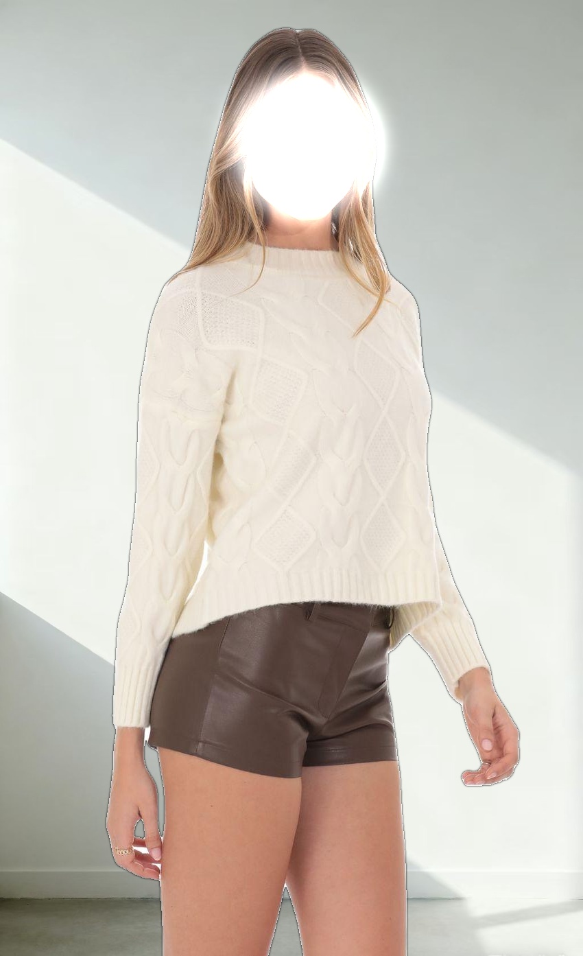 Faux Leather Shorts in Brown