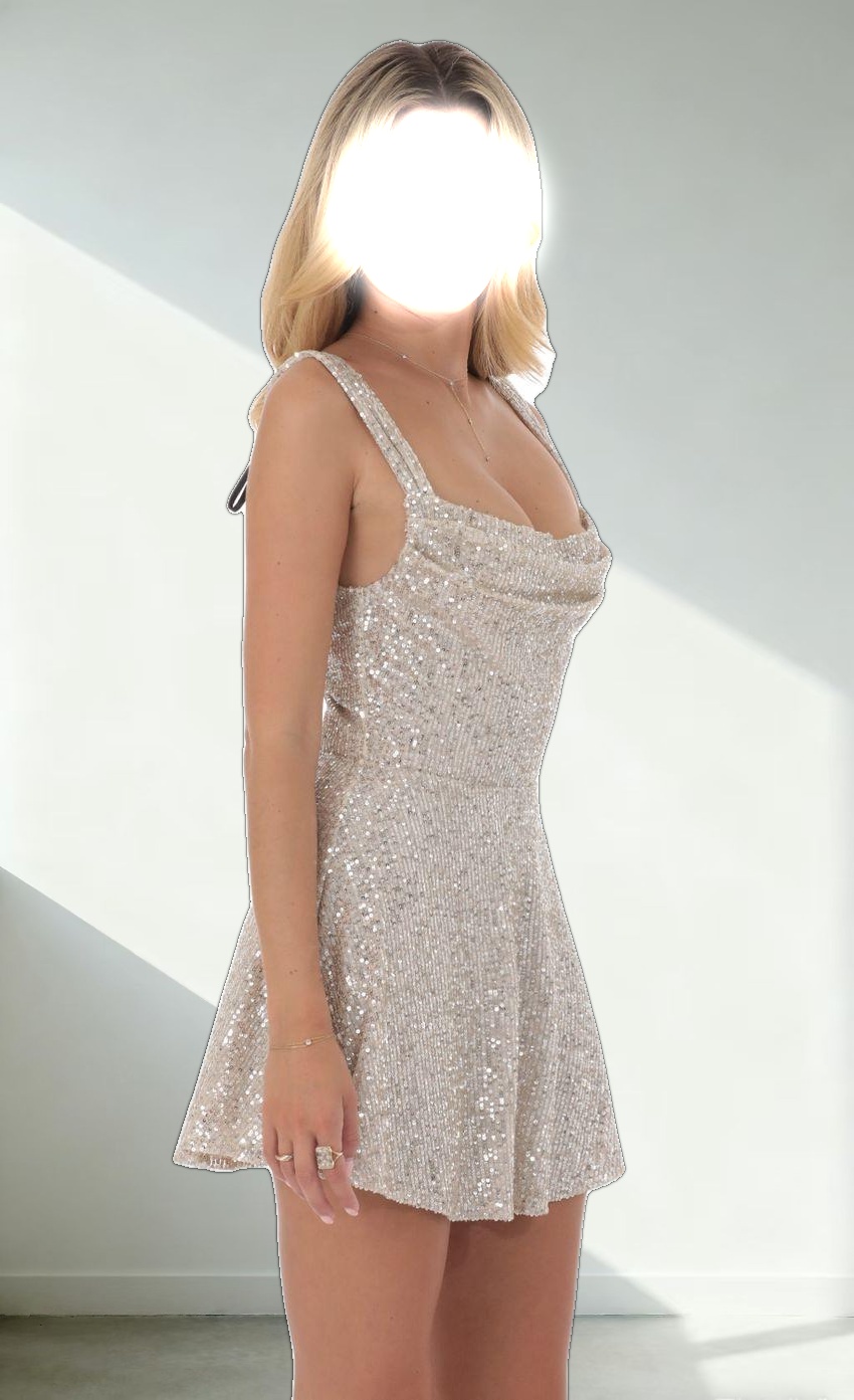 Silver Sequin A-line Dress in Tan