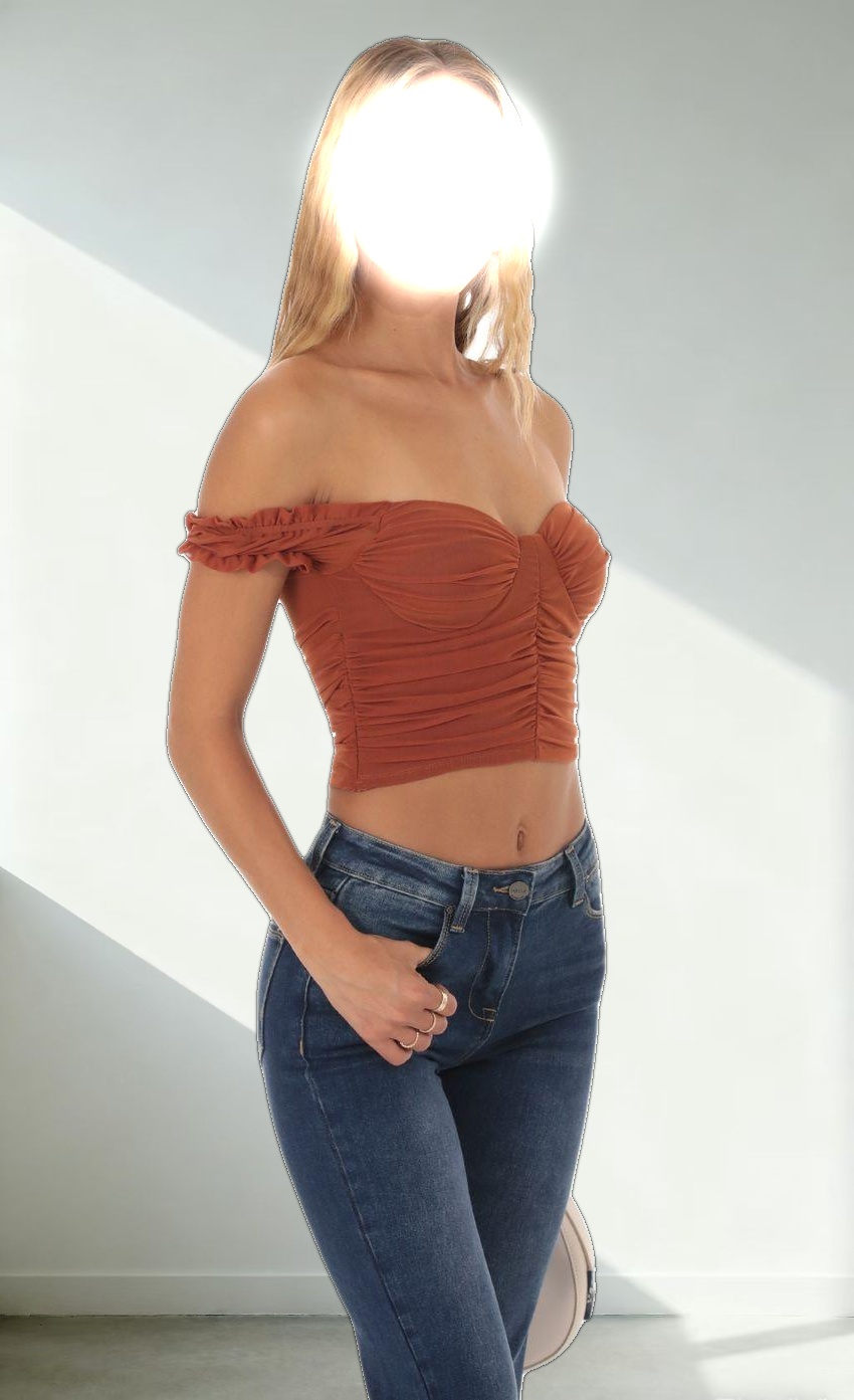 Mesh Off Shoulder Top in Rust