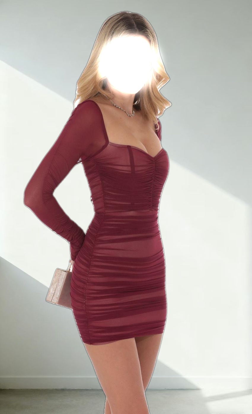 Mesh Long Sleeve Bodycon Dress in Maroon