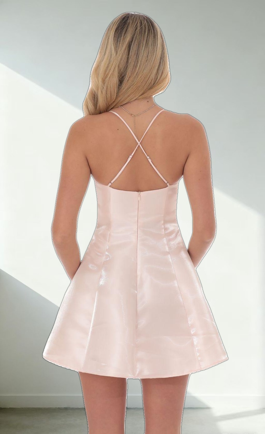 Sheen Fit and Flare Dress in Pink