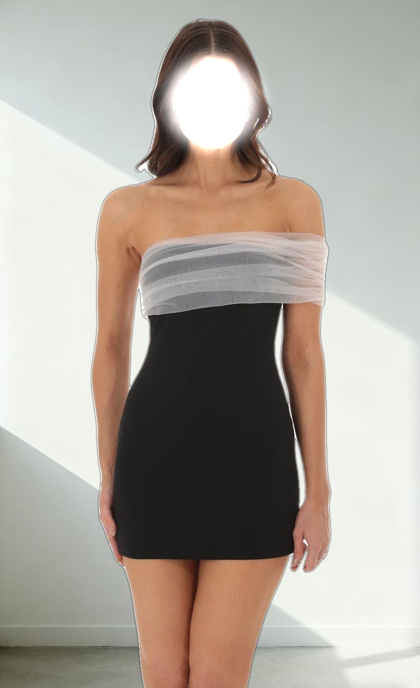 Off Shoulder Tulle Sleeve Dress in Black