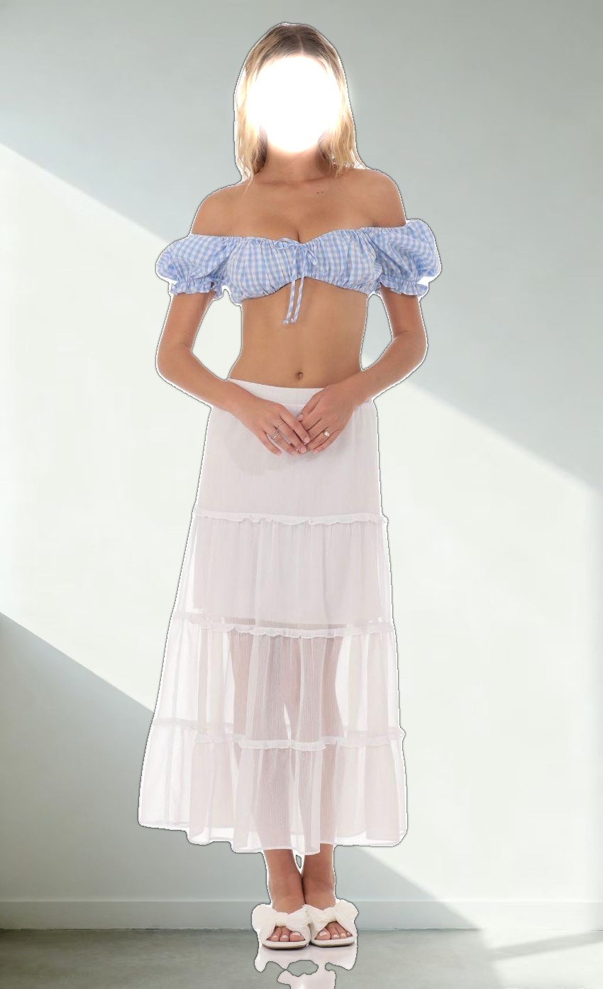 Gingham Off Shoulder Top in Blue