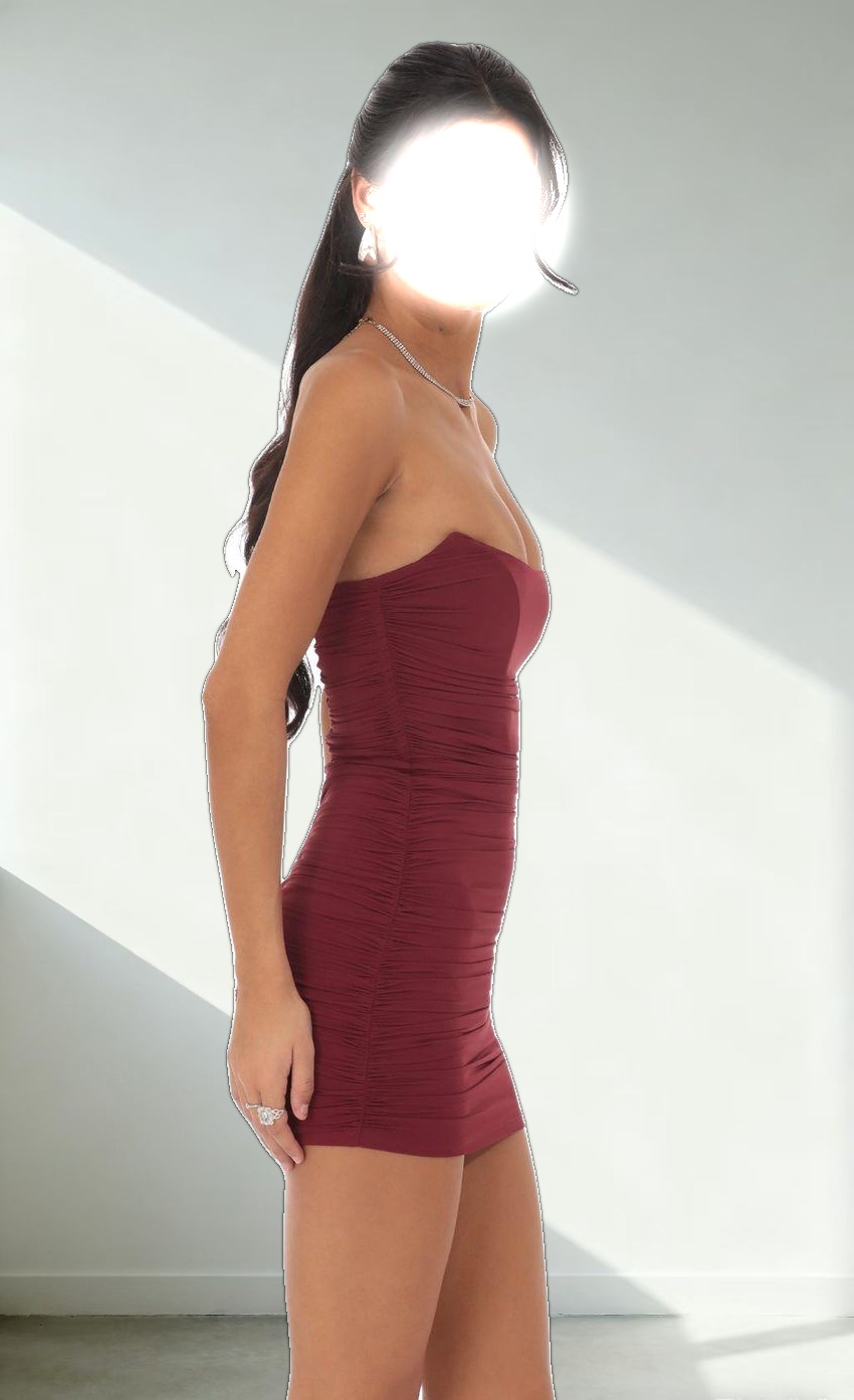 Corset Bodycon Dress in Burgundy