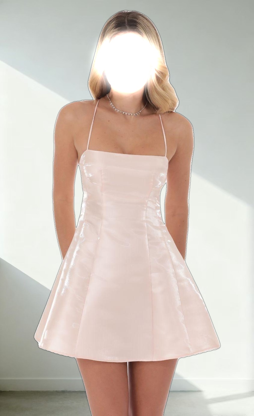 Sheen Fit and Flare Dress in Pink