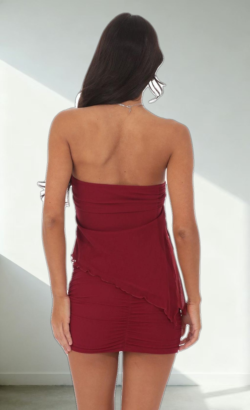 Mesh Strapless Two Piece Set in Burgundy