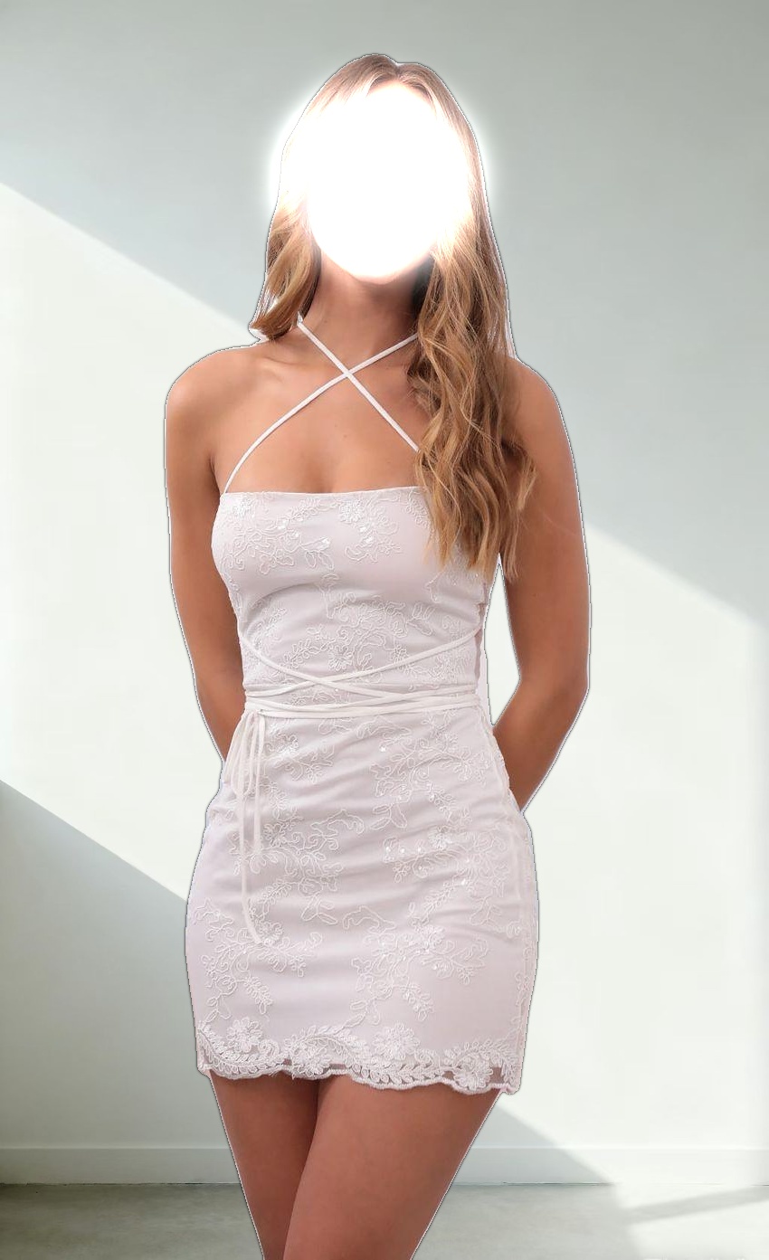 Embroidered Mesh Dress in White