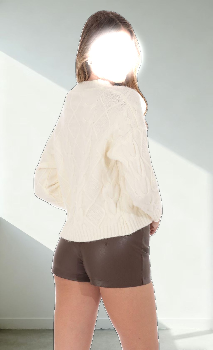 Faux Leather Shorts in Brown
