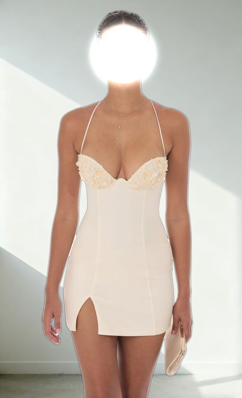 Floral Bust Fit and Flare Dress in Cream