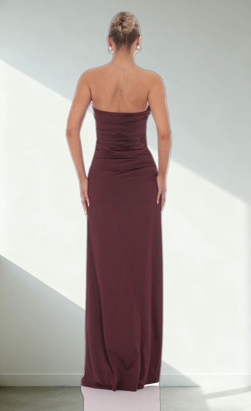 Embellished Strapless Maxi Dress in Plum