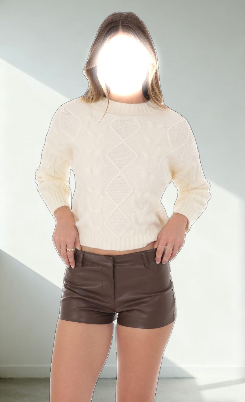 Faux Leather Shorts in Brown