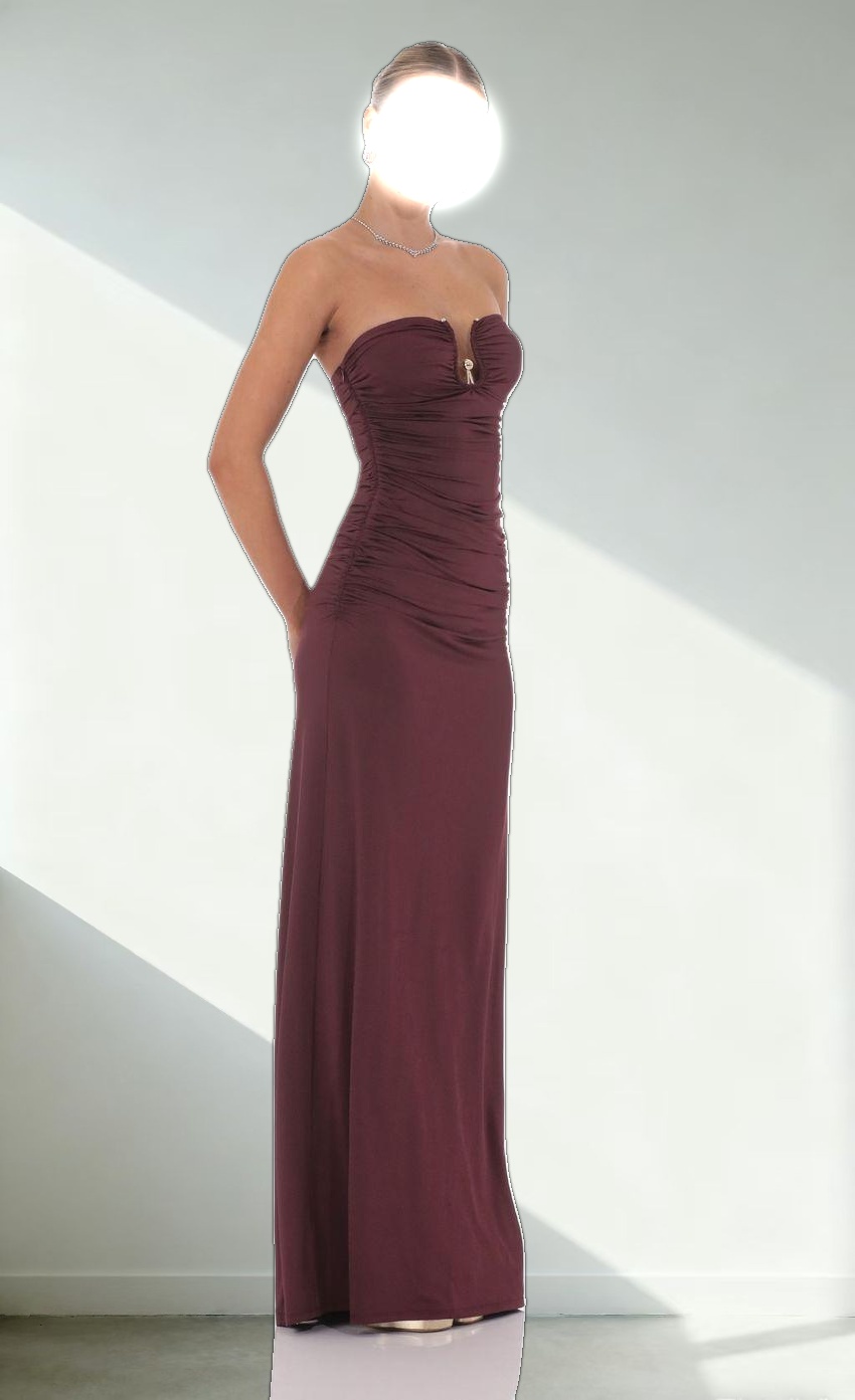 Embellished Strapless Maxi Dress in Plum