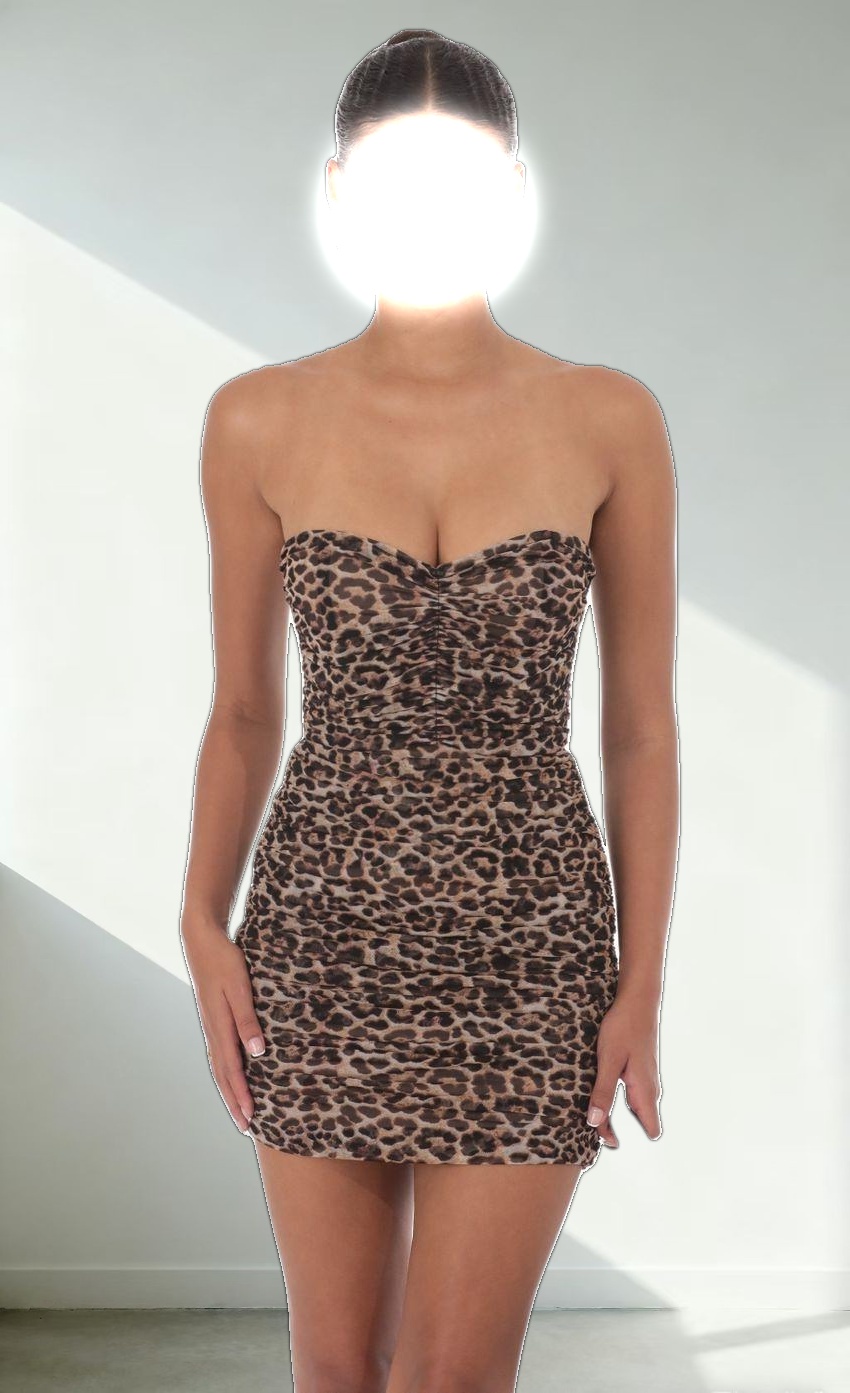 Mesh Corset in Cheetah Print