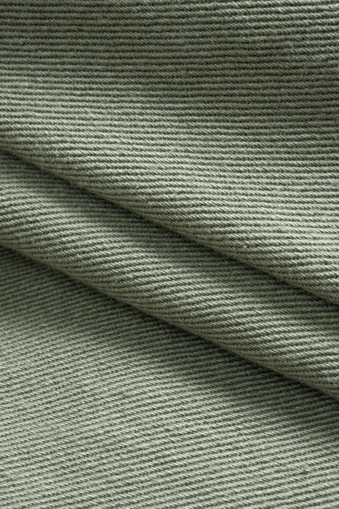 Denim Buttoned Shorts