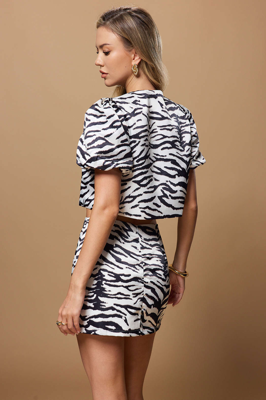 Zebra Stripe Print Zipper Mini Skirt