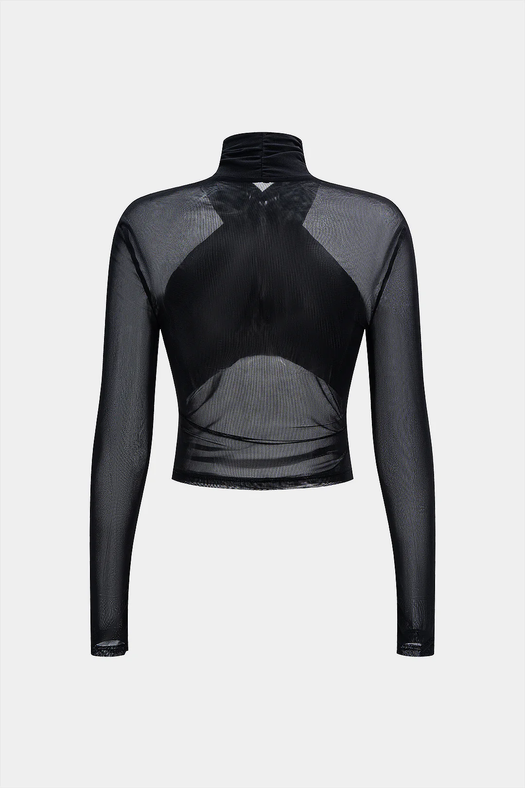 Mesh Sheer Ruffled Long Sleeve Top