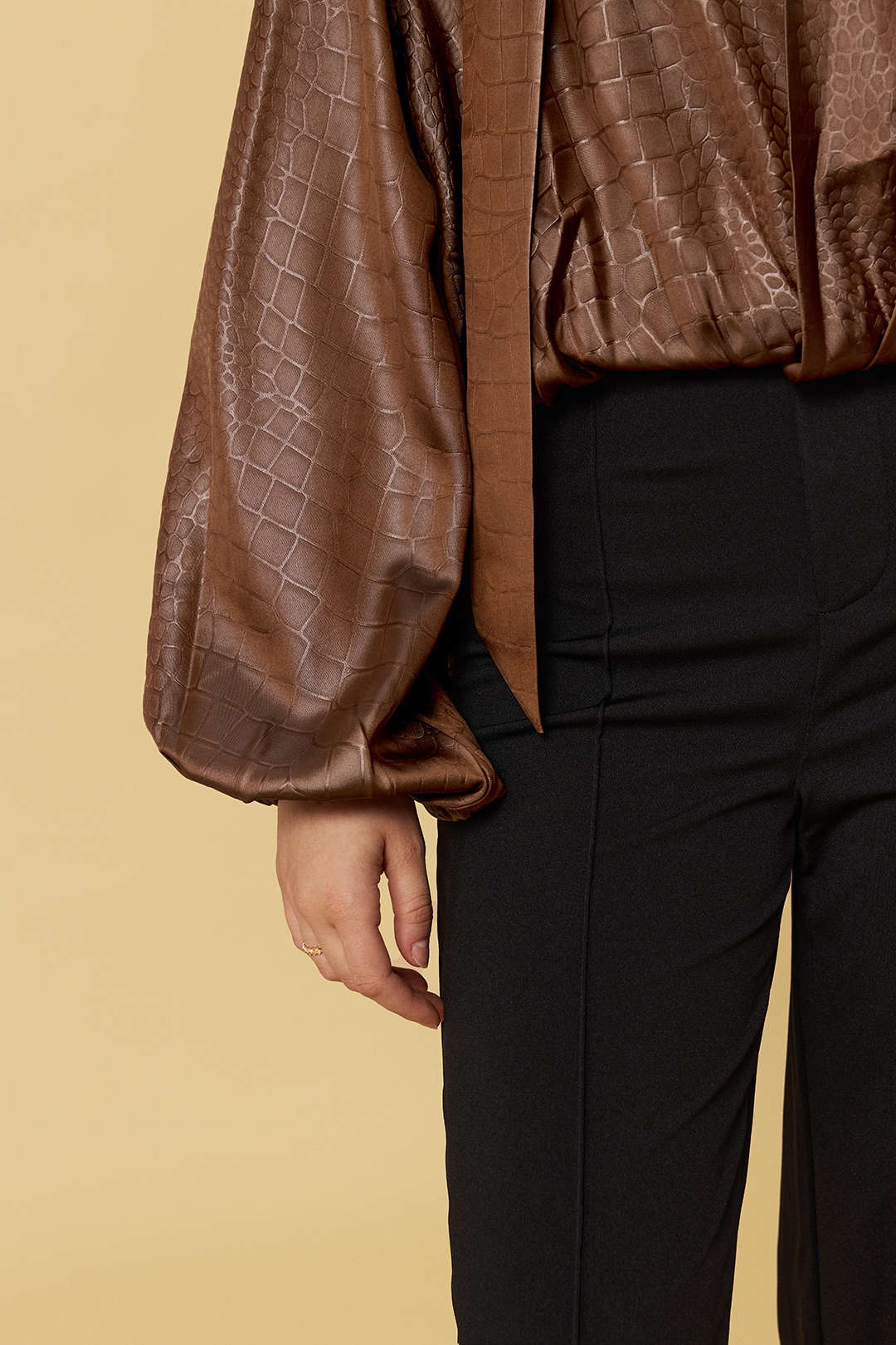 Satin-textured Ruched Long-sleeved Top with Scarf