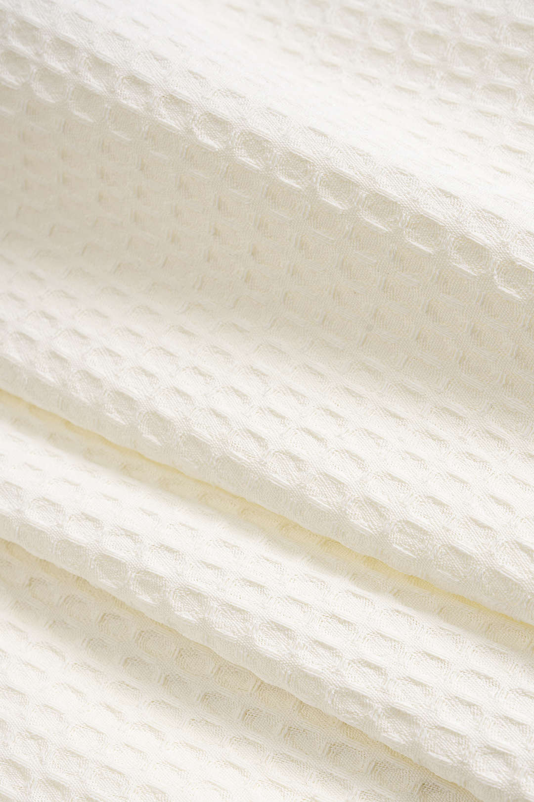 Textured Color - Blocked Piped Shorts