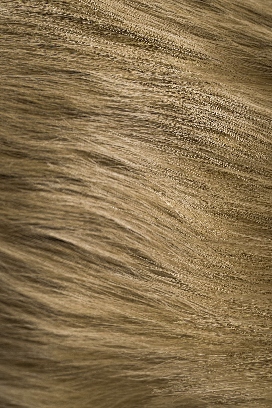 Faux Leather and Fur Patchwork Coat