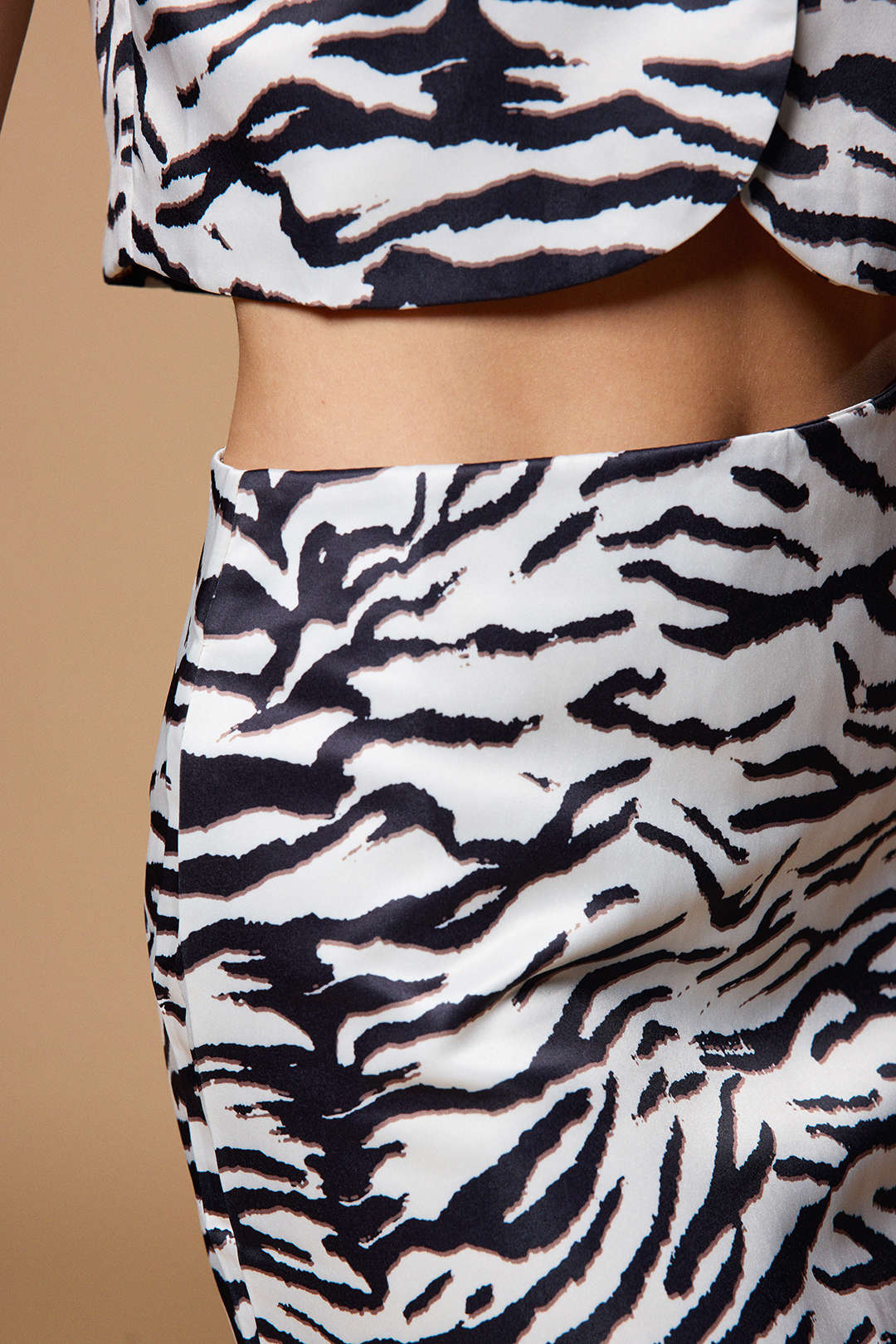 Zebra Stripe Print Zipper Mini Skirt