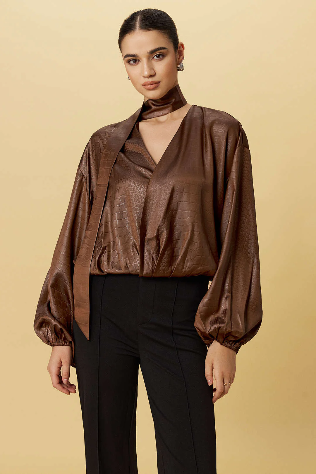 Satin-textured Ruched Long-sleeved Top with Scarf