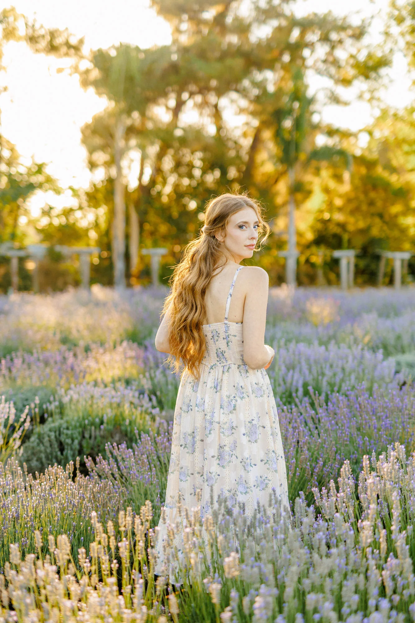 Olivia Sweetheart Midi Dress