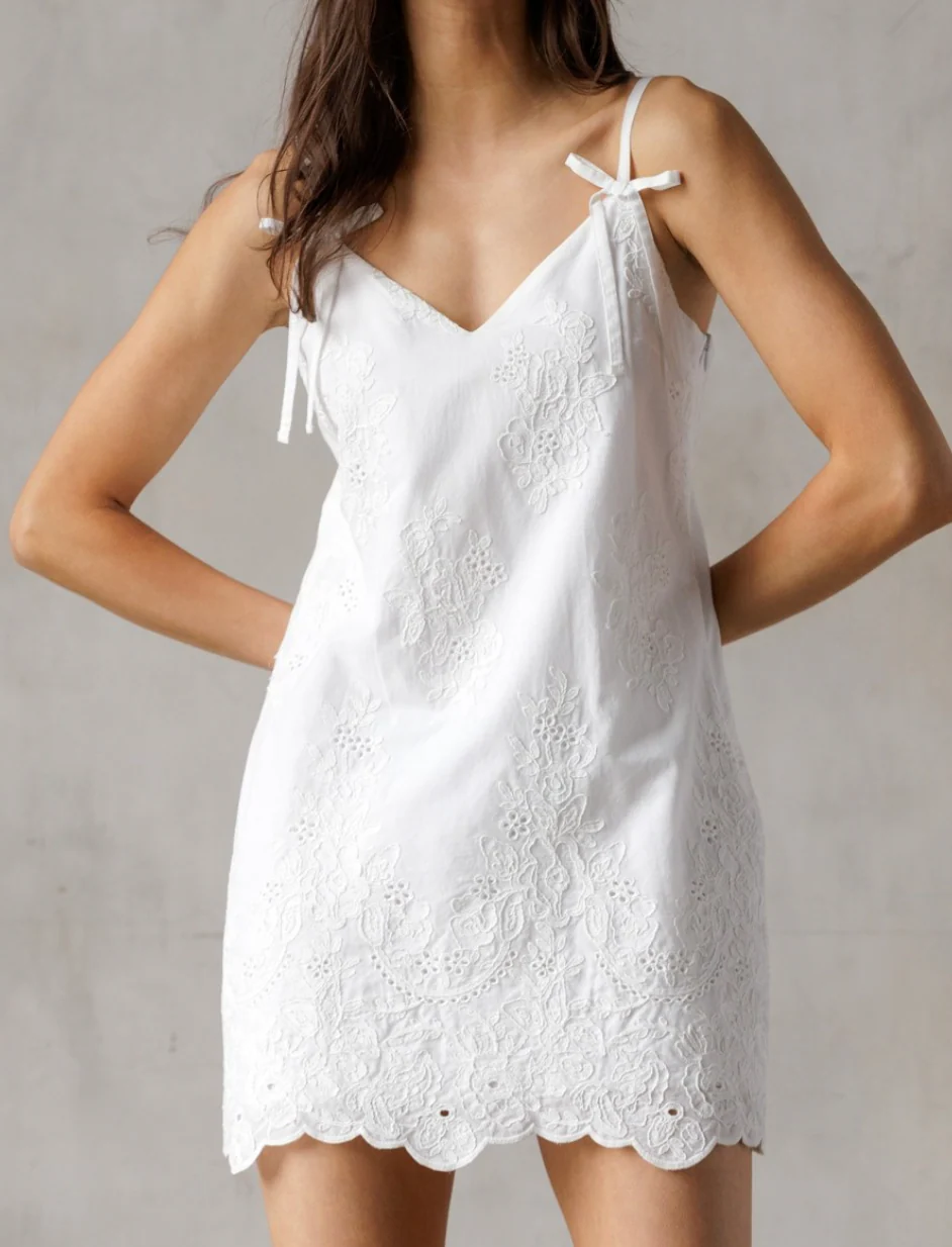 Embroidered Mini Dress