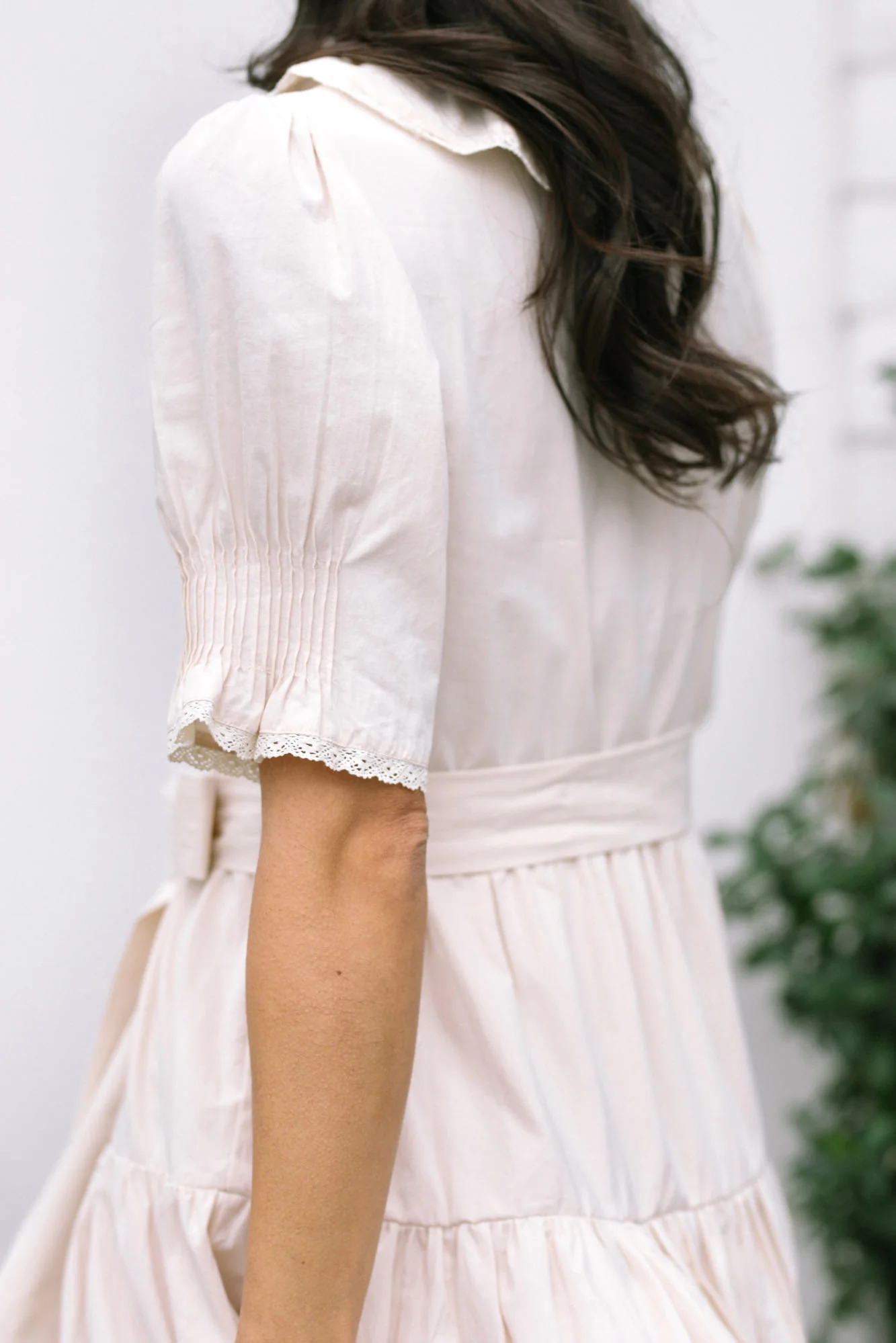 Ruffle Collared Dress