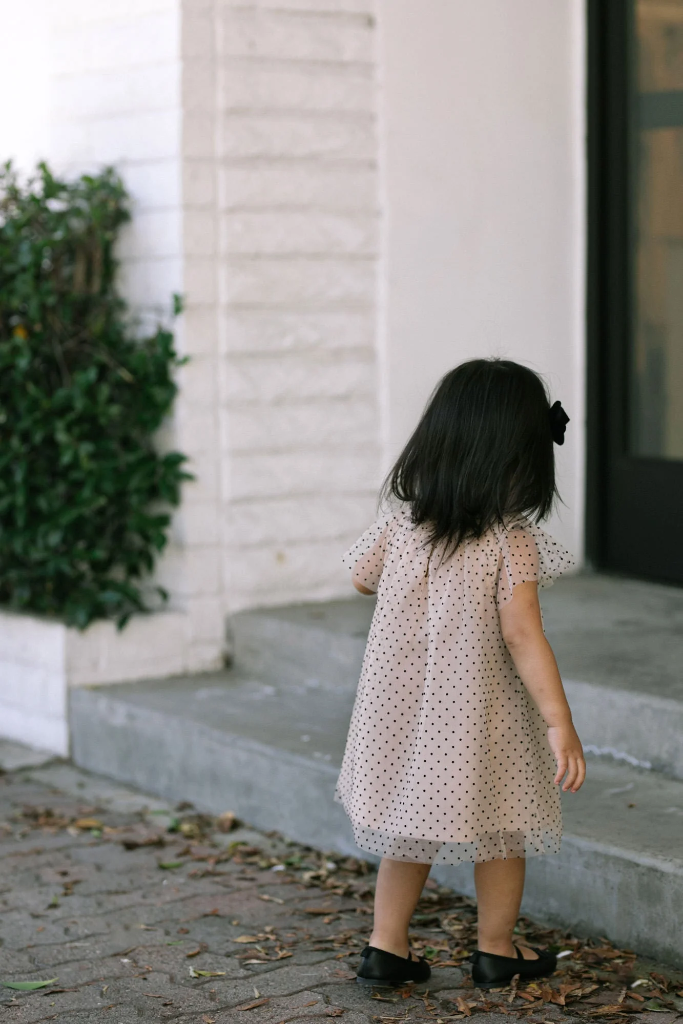 Mini Dotted Tulle Dress