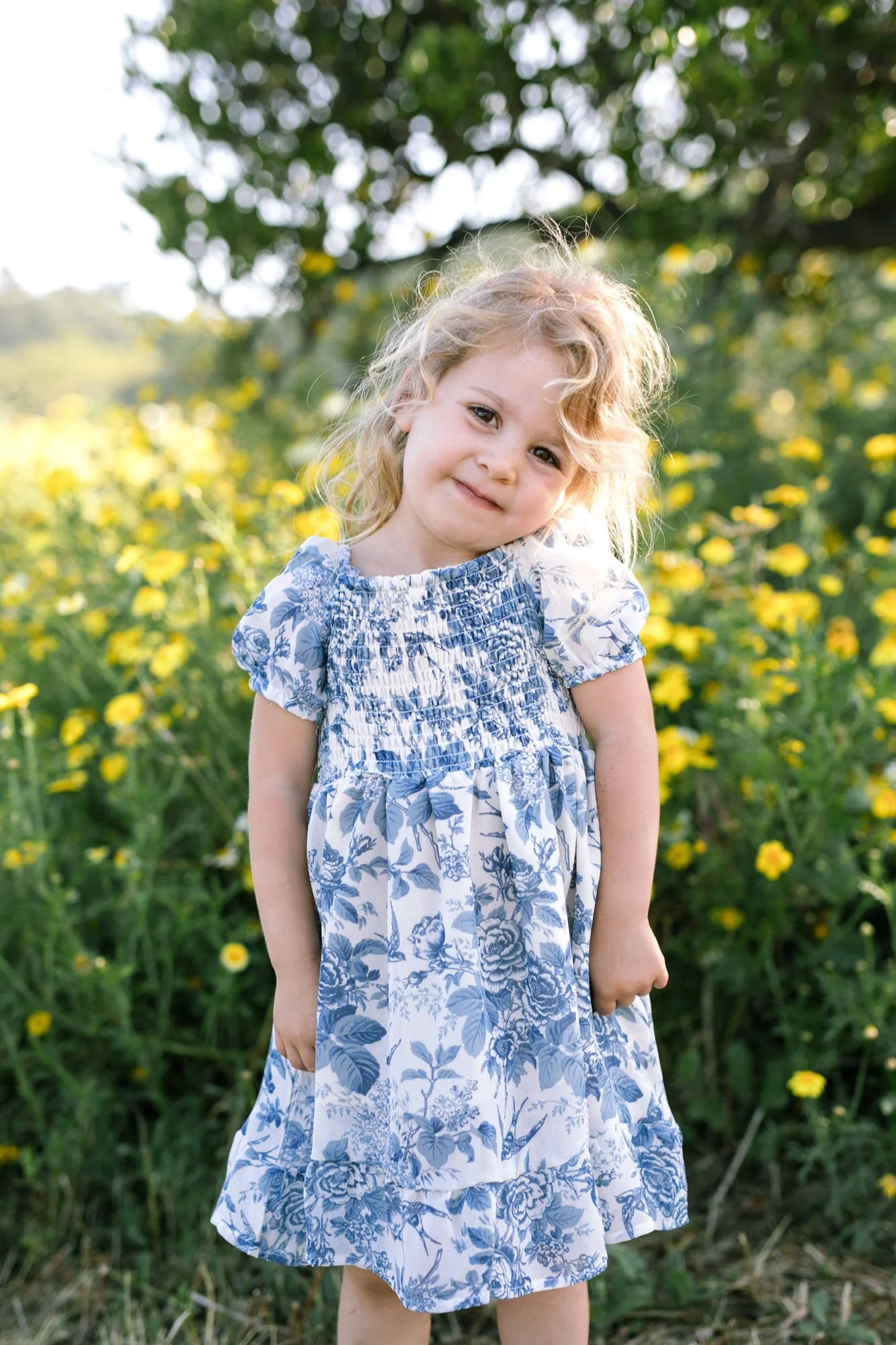 Mini Smocked Dress
