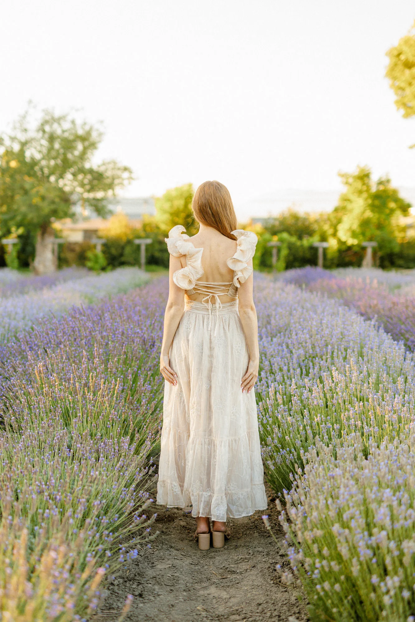 Elena Floral Embroidered Dress