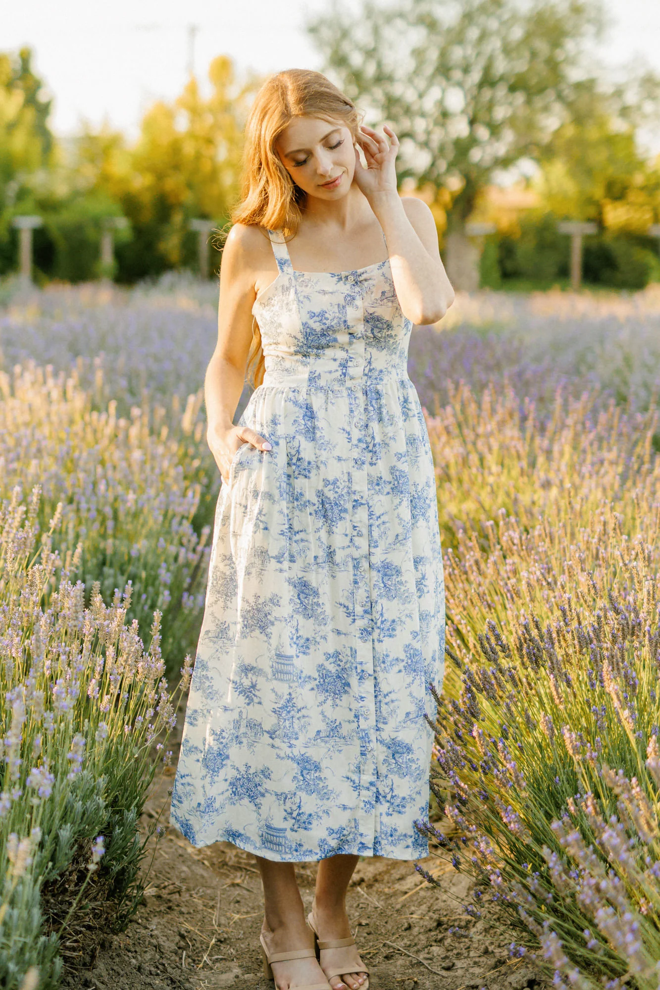 Toile Midi Dress