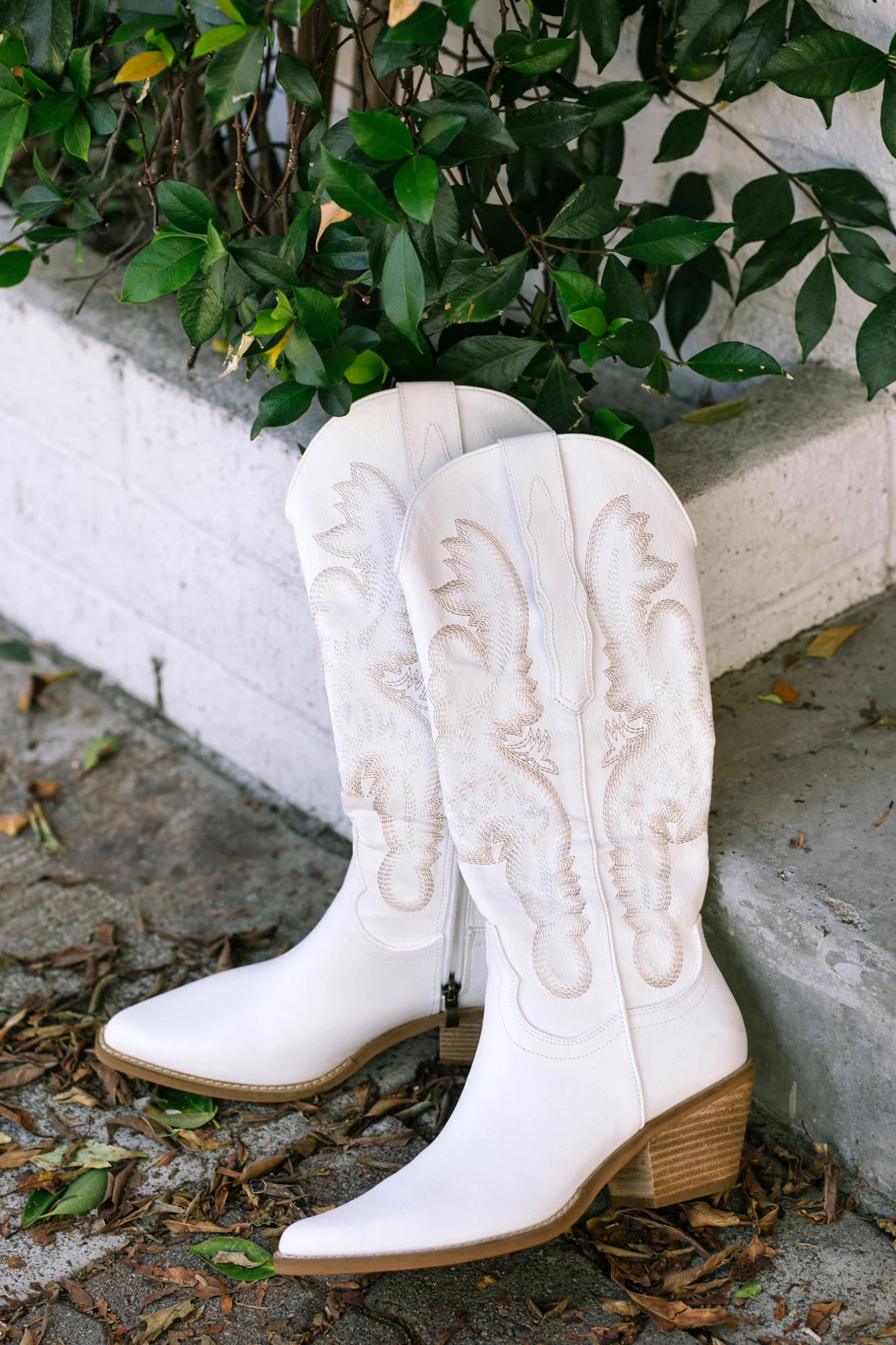 Western Style Boots