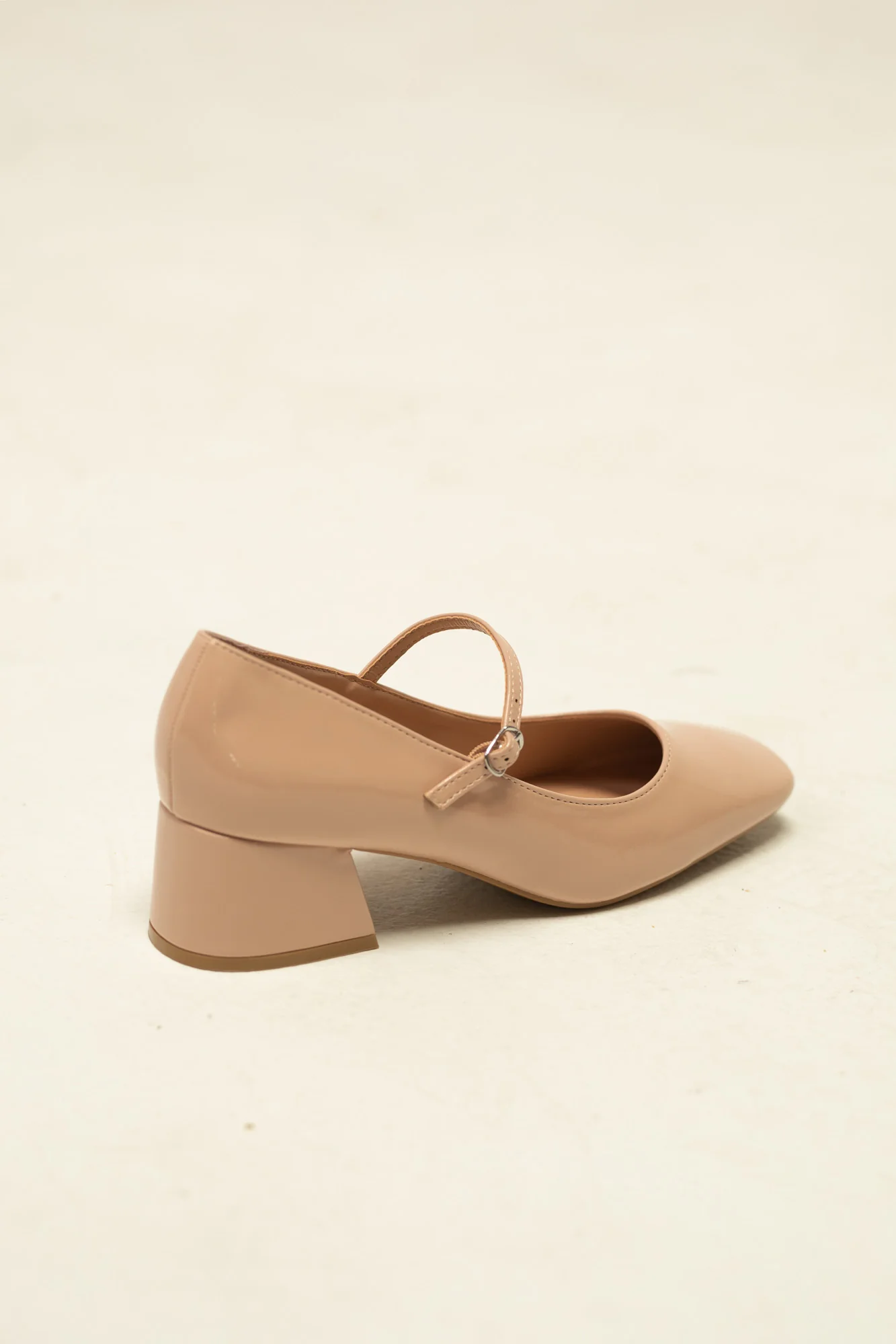 Mary Jane Block Heel Shoes