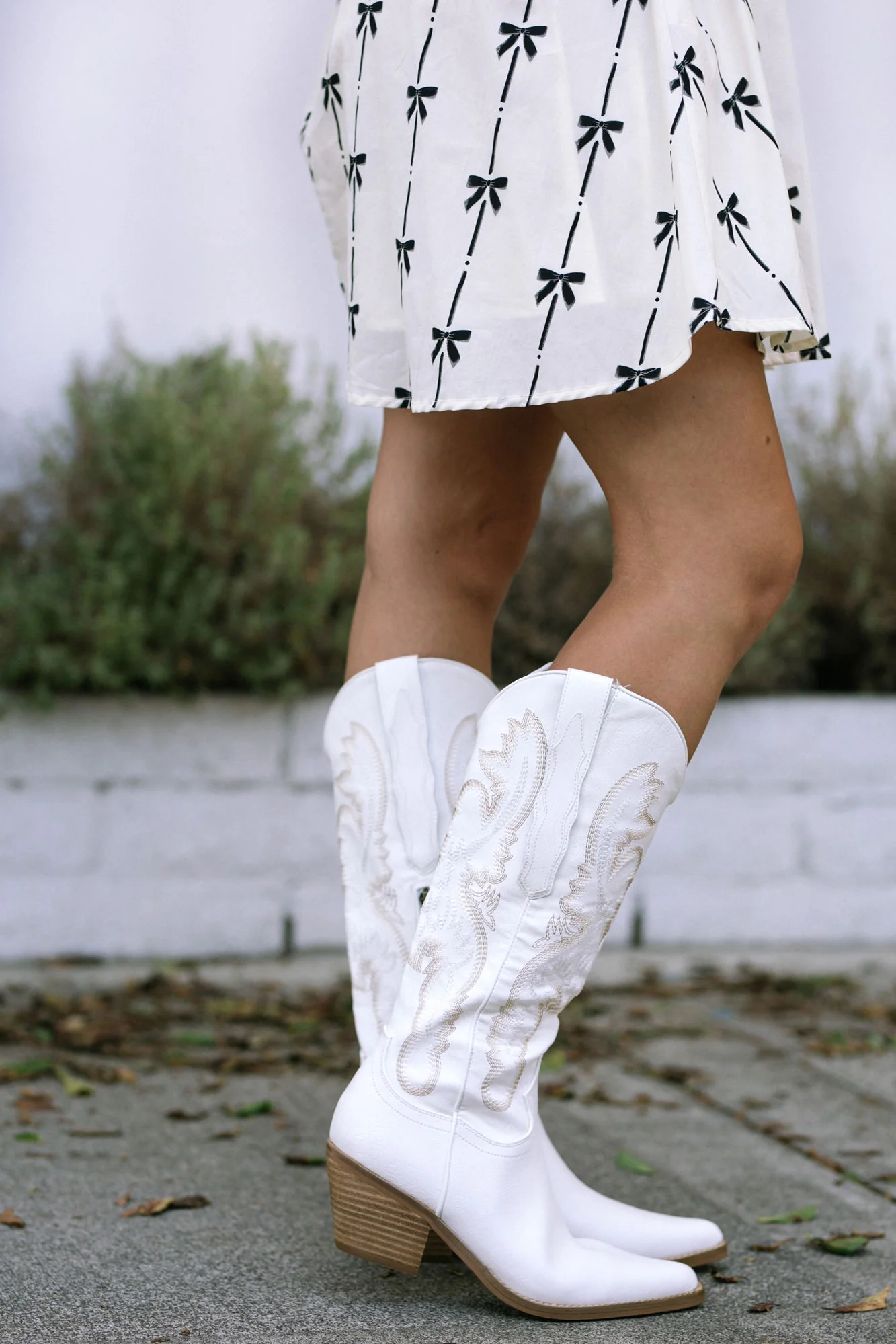 Western Style Boots