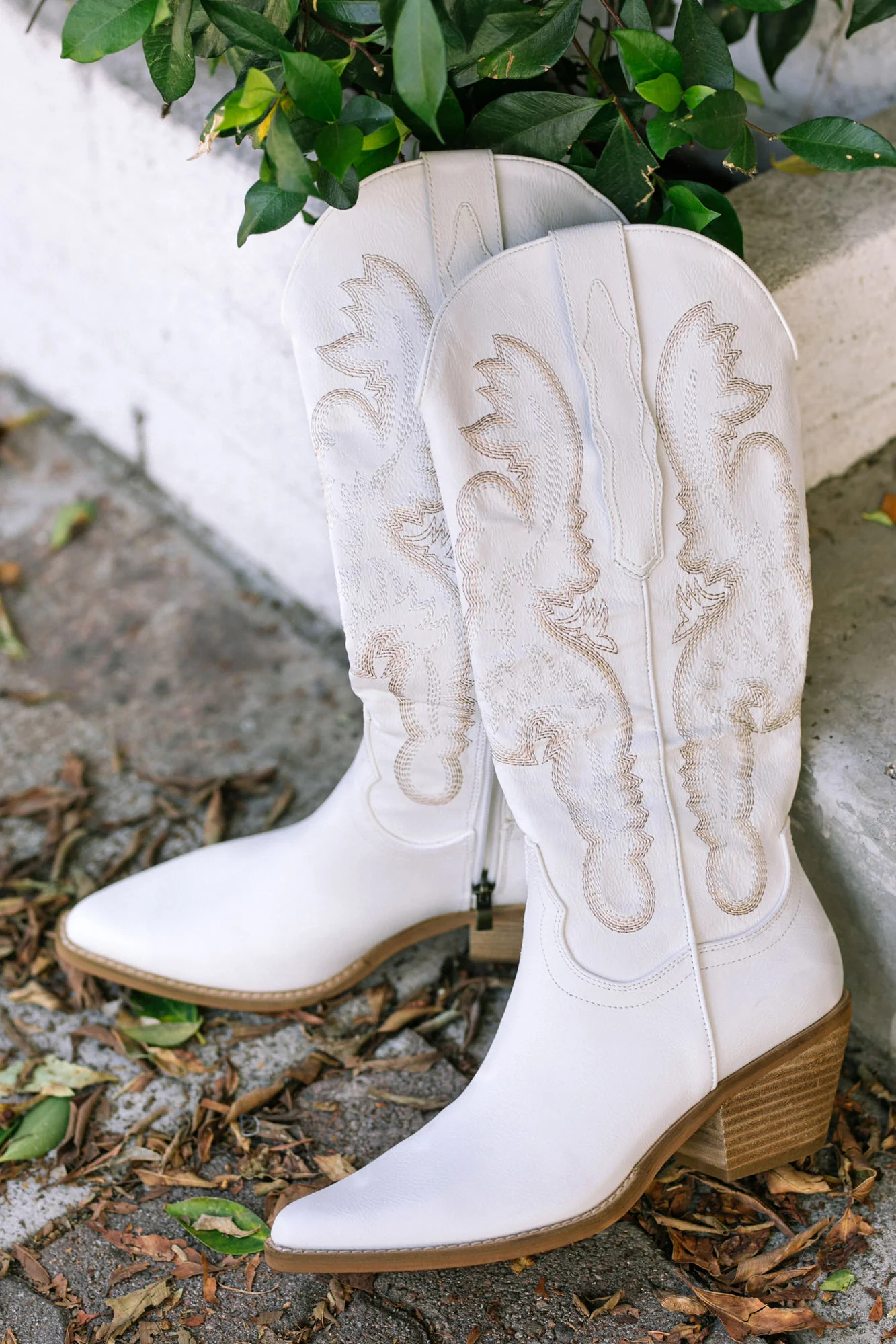 Western Style Boots