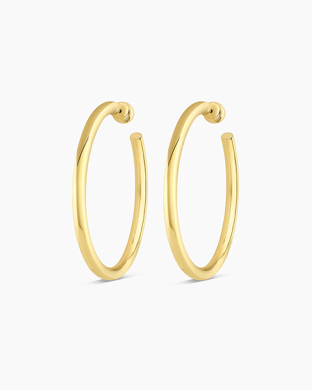 Carter Statement Hoops