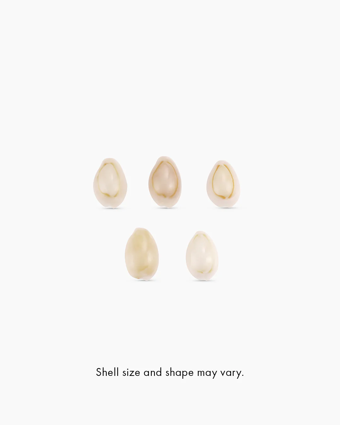 Harbor Shell Necklace